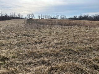 Property photo 103 - LAND AUCTION - 80+/- ACRES OFFERED IN 4 TRACTS IN DEKALB COUNTY, INDIANA