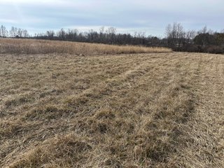 Property photo 104 - LAND AUCTION - 80+/- ACRES OFFERED IN 4 TRACTS IN DEKALB COUNTY, INDIANA