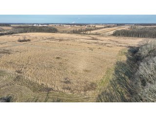 Property photo 5 - LAND AUCTION - 80+/- ACRES OFFERED IN 4 TRACTS IN DEKALB COUNTY, INDIANA