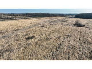 Property photo 7 - LAND AUCTION - 80+/- ACRES OFFERED IN 4 TRACTS IN DEKALB COUNTY, INDIANA