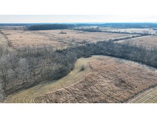 Property photo 10 - LAND AUCTION - 80+/- ACRES OFFERED IN 4 TRACTS IN DEKALB COUNTY, INDIANA