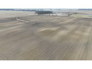 Property photo 11 - LAND AUCTION - 67.5+/- ACRES OFFERED IN 4 TRACTS IN WELLS COUNTY, INDIANA