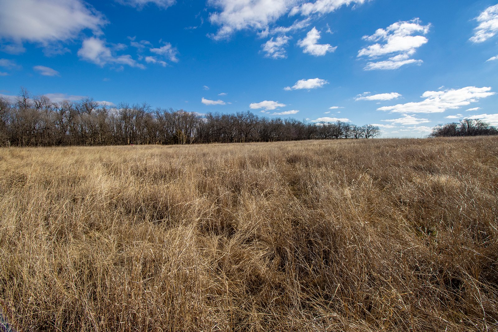Property photo 10 - TIMED ONLINE REAL ESTATE - PREMIER SMALL ACREAGE BUILDING SITES - WOLF CREEK ESTATES IN KINGFISHER COUNTY, OKLAHOMA