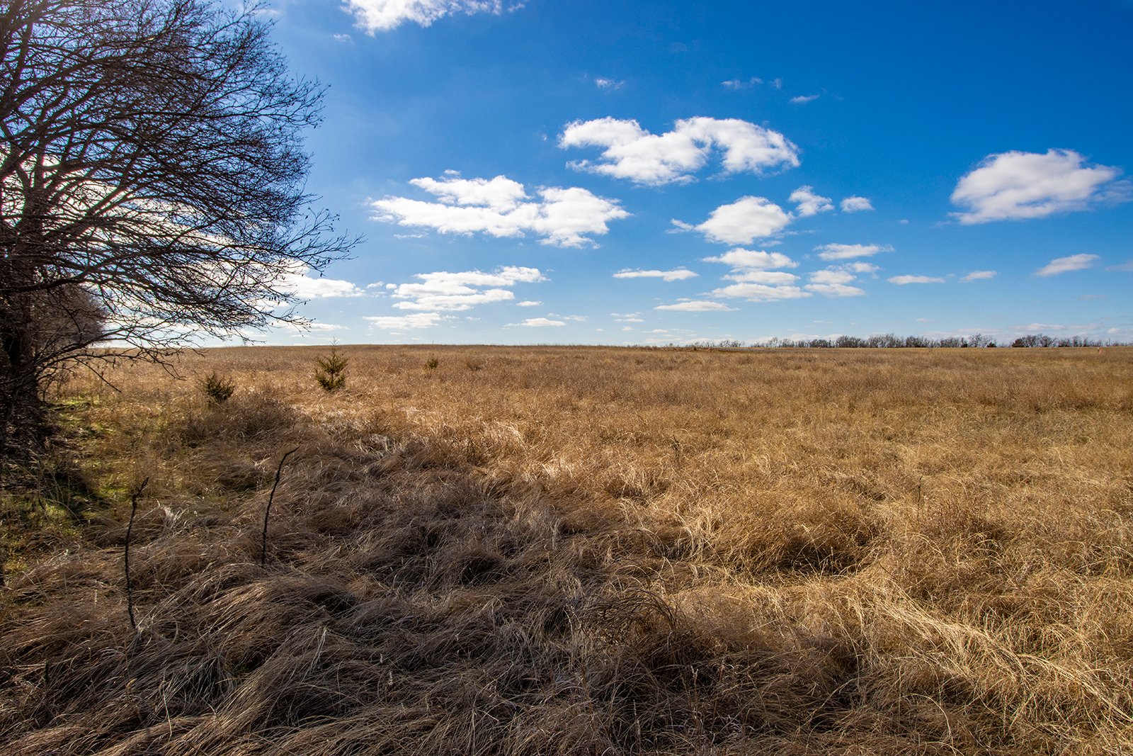 Property photo 11 - TIMED ONLINE REAL ESTATE - PREMIER SMALL ACREAGE BUILDING SITES - WOLF CREEK ESTATES IN KINGFISHER COUNTY, OKLAHOMA