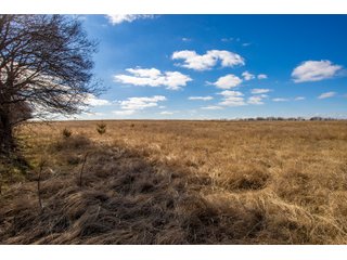 Property photo 11 - TIMED ONLINE REAL ESTATE - PREMIER SMALL ACREAGE BUILDING SITES - WOLF CREEK ESTATES IN KINGFISHER COUNTY, OKLAHOMA