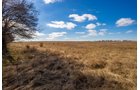 Property photo 11 - TIMED ONLINE REAL ESTATE - PREMIER SMALL ACREAGE BUILDING SITES - WOLF CREEK ESTATES IN KINGFISHER COUNTY, OKLAHOMA