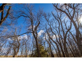 Property photo 12 - TIMED ONLINE REAL ESTATE - PREMIER SMALL ACREAGE BUILDING SITES - WOLF CREEK ESTATES IN KINGFISHER COUNTY, OKLAHOMA