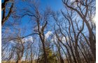 Property photo 12 - TIMED ONLINE REAL ESTATE - PREMIER SMALL ACREAGE BUILDING SITES - WOLF CREEK ESTATES IN KINGFISHER COUNTY, OKLAHOMA