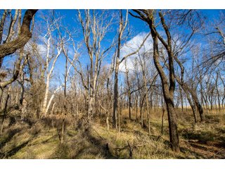 Property photo 13 - TIMED ONLINE REAL ESTATE - PREMIER SMALL ACREAGE BUILDING SITES - WOLF CREEK ESTATES IN KINGFISHER COUNTY, OKLAHOMA