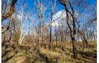 Property photo 13 - TIMED ONLINE REAL ESTATE - PREMIER SMALL ACREAGE BUILDING SITES - WOLF CREEK ESTATES IN KINGFISHER COUNTY, OKLAHOMA