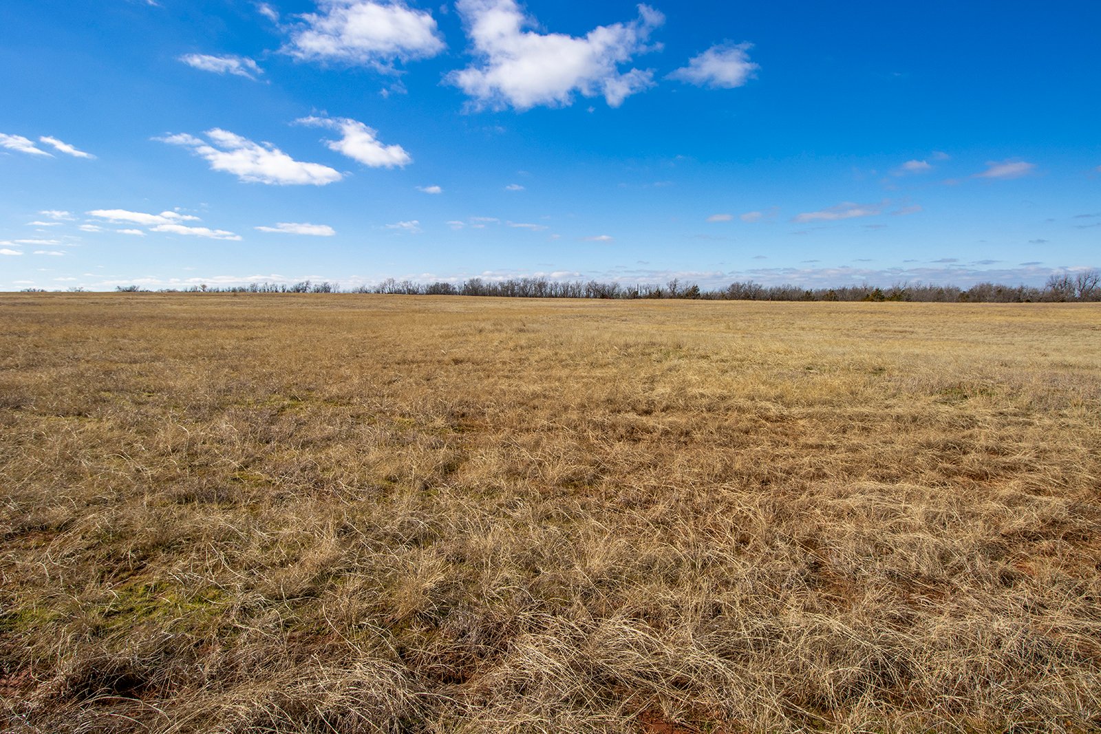 Property photo 16 - TIMED ONLINE REAL ESTATE - PREMIER SMALL ACREAGE BUILDING SITES - WOLF CREEK ESTATES IN KINGFISHER COUNTY, OKLAHOMA