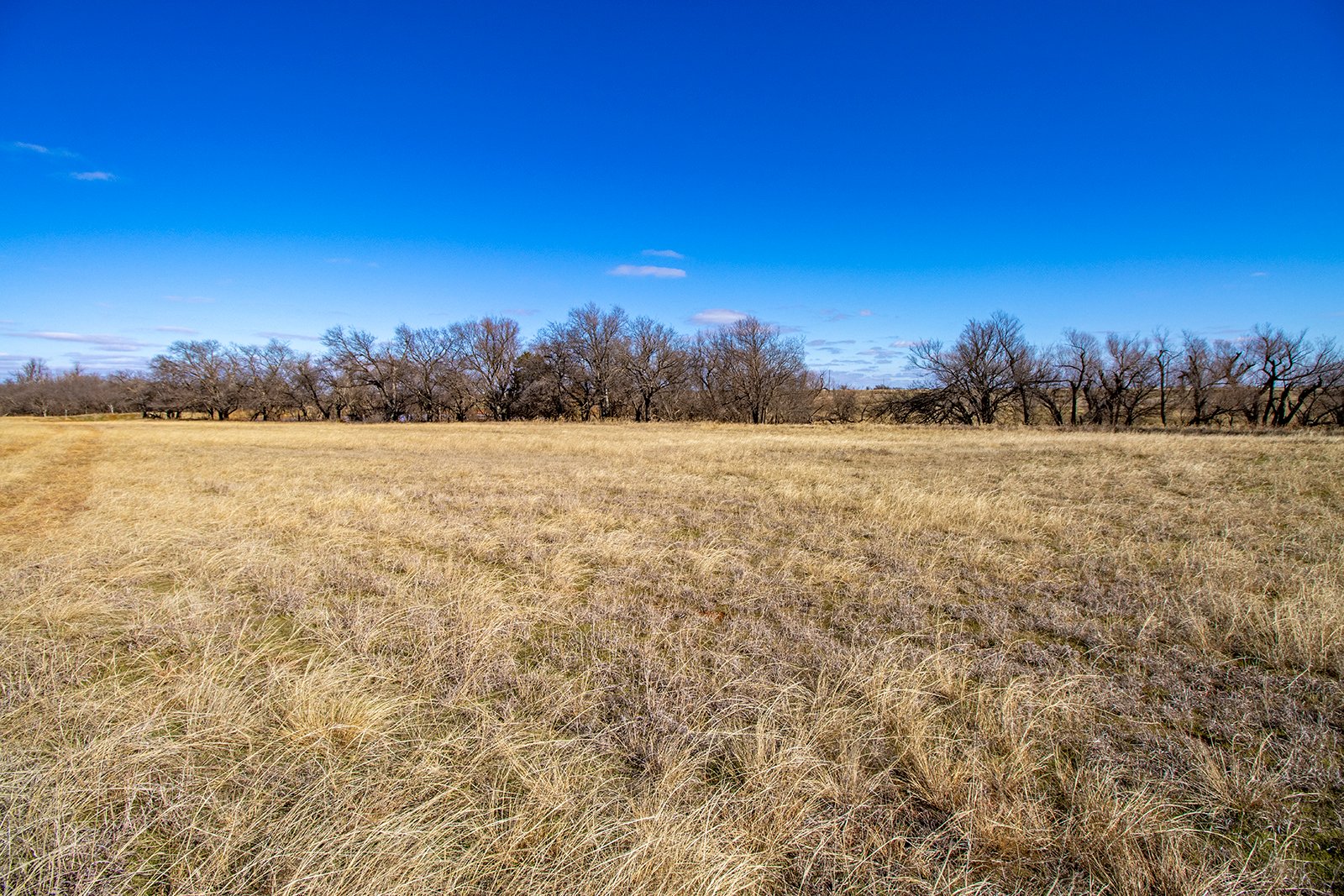 Property photo 18 - TIMED ONLINE REAL ESTATE - PREMIER SMALL ACREAGE BUILDING SITES - WOLF CREEK ESTATES IN KINGFISHER COUNTY, OKLAHOMA
