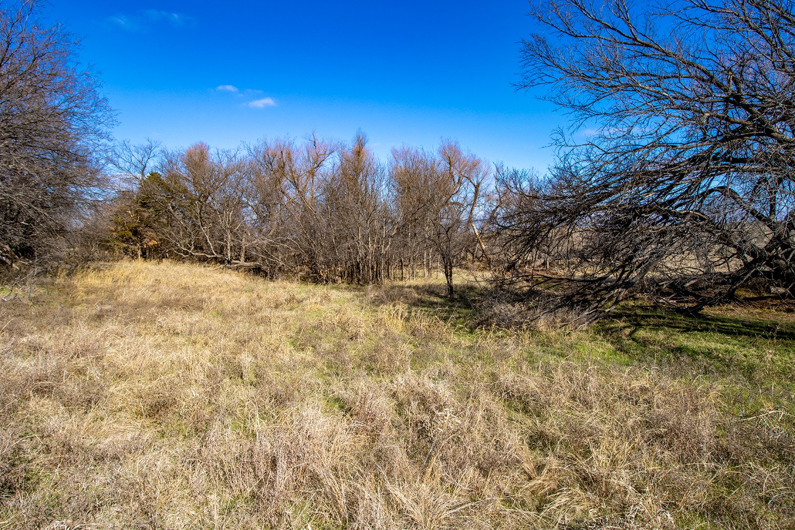 Property photo 19 - TIMED ONLINE REAL ESTATE - PREMIER SMALL ACREAGE BUILDING SITES - WOLF CREEK ESTATES IN KINGFISHER COUNTY, OKLAHOMA