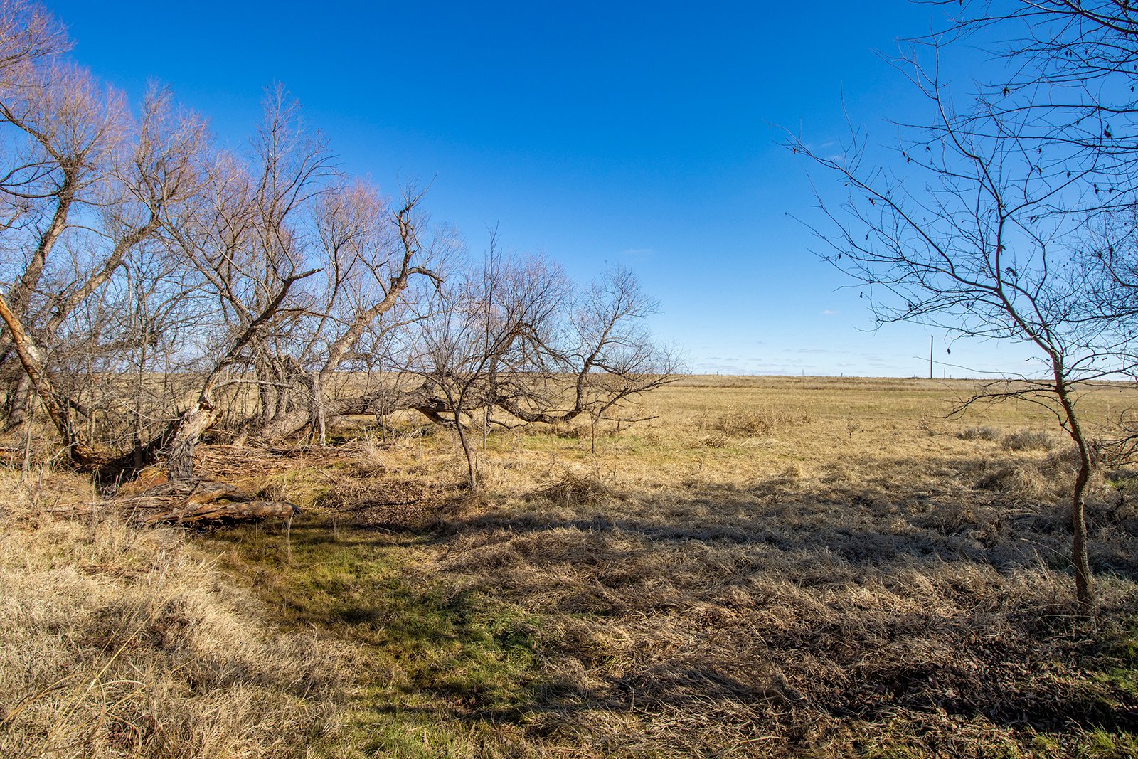 Property photo 20 - TIMED ONLINE REAL ESTATE - PREMIER SMALL ACREAGE BUILDING SITES - WOLF CREEK ESTATES IN KINGFISHER COUNTY, OKLAHOMA