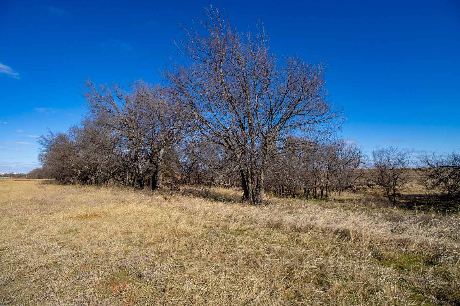 Property photo 21 - TIMED ONLINE REAL ESTATE - PREMIER SMALL ACREAGE BUILDING SITES - WOLF CREEK ESTATES IN KINGFISHER COUNTY, OKLAHOMA