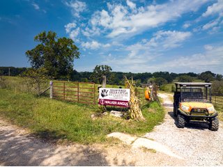 Property photo 4 - LAND AUCTION - 334+/- ACRES OFFERED IN 6 TRACTS IN DOUGLAS COUNTY, MISSOURI