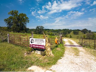 Property photo 6 - LAND AUCTION - 334+/- ACRES OFFERED IN 6 TRACTS IN DOUGLAS COUNTY, MISSOURI