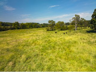 Property photo 7 - LAND AUCTION - 334+/- ACRES OFFERED IN 6 TRACTS IN DOUGLAS COUNTY, MISSOURI