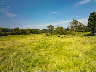 Property photo 8 - LAND AUCTION - 334+/- ACRES OFFERED IN 6 TRACTS IN DOUGLAS COUNTY, MISSOURI