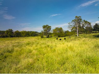 Property photo 9 - LAND AUCTION - 334+/- ACRES OFFERED IN 6 TRACTS IN DOUGLAS COUNTY, MISSOURI