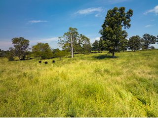 Property photo 10 - LAND AUCTION - 334+/- ACRES OFFERED IN 6 TRACTS IN DOUGLAS COUNTY, MISSOURI