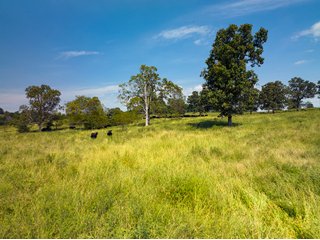 Property photo 12 - LAND AUCTION - 334+/- ACRES OFFERED IN 6 TRACTS IN DOUGLAS COUNTY, MISSOURI