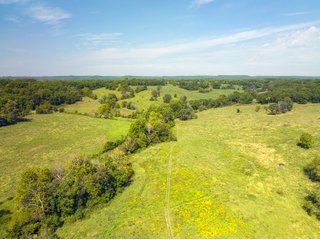 Property photo 14 - LAND AUCTION - 334+/- ACRES OFFERED IN 6 TRACTS IN DOUGLAS COUNTY, MISSOURI