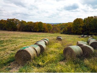 Property photo 26 - LAND AUCTION - 334+/- ACRES OFFERED IN 6 TRACTS IN DOUGLAS COUNTY, MISSOURI