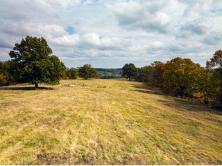 Property photo 27 - LAND AUCTION - 334+/- ACRES OFFERED IN 6 TRACTS IN DOUGLAS COUNTY, MISSOURI