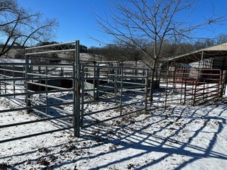 Property photo 42 - LAND AUCTION - 334+/- ACRES OFFERED IN 6 TRACTS IN DOUGLAS COUNTY, MISSOURI