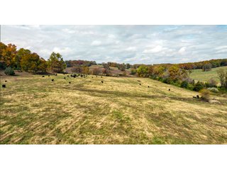 Property photo 15 - LAND AUCTION - 334+/- ACRES OFFERED IN 6 TRACTS IN DOUGLAS COUNTY, MISSOURI