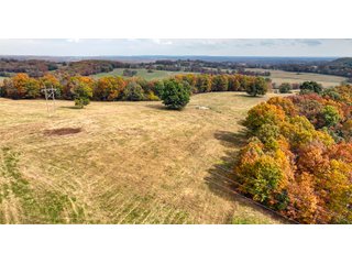 Property photo 18 - LAND AUCTION - 334+/- ACRES OFFERED IN 6 TRACTS IN DOUGLAS COUNTY, MISSOURI