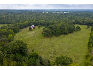 Property photo 4 - REAL ESTATE AUCTION - 70.24+/- ACRES OFFERED IN 2 TRACTS IN WOOD & SMITH COUNTIES, TEXAS