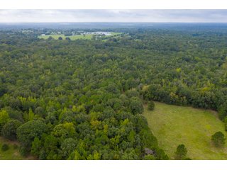 Property photo 5 - REAL ESTATE AUCTION - 70.24+/- ACRES OFFERED IN 2 TRACTS IN WOOD & SMITH COUNTIES, TEXAS