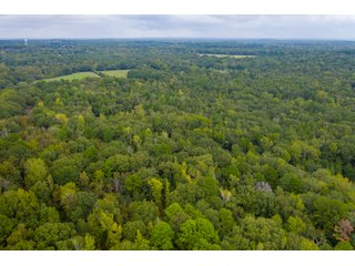Property photo 6 - REAL ESTATE AUCTION - 70.24+/- ACRES OFFERED IN 2 TRACTS IN WOOD & SMITH COUNTIES, TEXAS