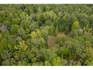 Property photo 8 - REAL ESTATE AUCTION - 70.24+/- ACRES OFFERED IN 2 TRACTS IN WOOD & SMITH COUNTIES, TEXAS
