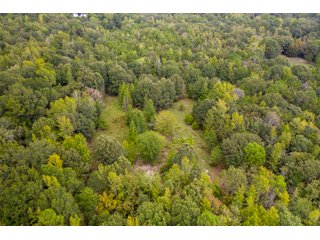 Property photo 9 - REAL ESTATE AUCTION - 70.24+/- ACRES OFFERED IN 2 TRACTS IN WOOD & SMITH COUNTIES, TEXAS