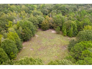Property photo 10 - REAL ESTATE AUCTION - 70.24+/- ACRES OFFERED IN 2 TRACTS IN WOOD & SMITH COUNTIES, TEXAS