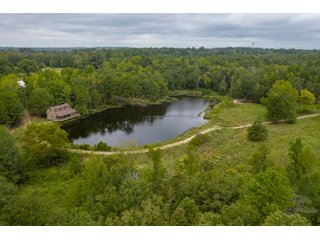 Property photo 11 - REAL ESTATE AUCTION - 70.24+/- ACRES OFFERED IN 2 TRACTS IN WOOD & SMITH COUNTIES, TEXAS