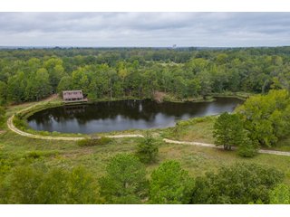 Property photo 12 - REAL ESTATE AUCTION - 70.24+/- ACRES OFFERED IN 2 TRACTS IN WOOD & SMITH COUNTIES, TEXAS