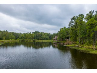 Property photo 14 - REAL ESTATE AUCTION - 70.24+/- ACRES OFFERED IN 2 TRACTS IN WOOD & SMITH COUNTIES, TEXAS