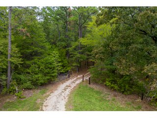 Property photo 17 - REAL ESTATE AUCTION - 70.24+/- ACRES OFFERED IN 2 TRACTS IN WOOD & SMITH COUNTIES, TEXAS