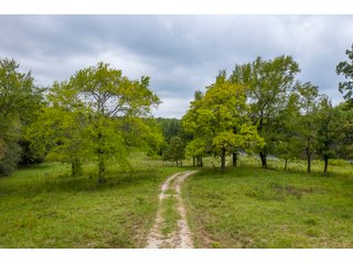 Property photo 18 - REAL ESTATE AUCTION - 70.24+/- ACRES OFFERED IN 2 TRACTS IN WOOD & SMITH COUNTIES, TEXAS