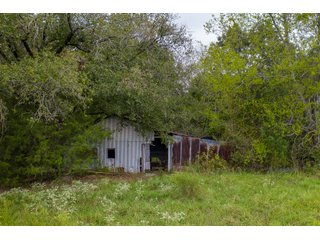 Property photo 19 - REAL ESTATE AUCTION - 70.24+/- ACRES OFFERED IN 2 TRACTS IN WOOD & SMITH COUNTIES, TEXAS