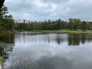 Property photo 20 - REAL ESTATE AUCTION - 70.24+/- ACRES OFFERED IN 2 TRACTS IN WOOD & SMITH COUNTIES, TEXAS