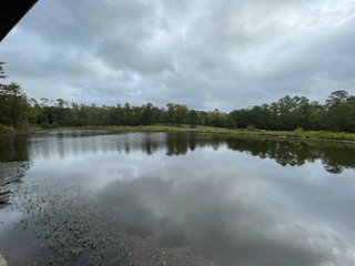 Property photo 21 - REAL ESTATE AUCTION - 70.24+/- ACRES OFFERED IN 2 TRACTS IN WOOD & SMITH COUNTIES, TEXAS