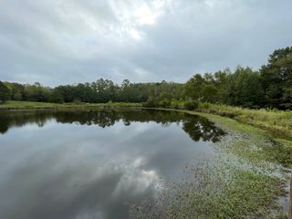 Property photo 22 - REAL ESTATE AUCTION - 70.24+/- ACRES OFFERED IN 2 TRACTS IN WOOD & SMITH COUNTIES, TEXAS