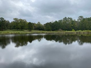 Property photo 23 - REAL ESTATE AUCTION - 70.24+/- ACRES OFFERED IN 2 TRACTS IN WOOD & SMITH COUNTIES, TEXAS