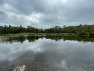 Property photo 24 - REAL ESTATE AUCTION - 70.24+/- ACRES OFFERED IN 2 TRACTS IN WOOD & SMITH COUNTIES, TEXAS