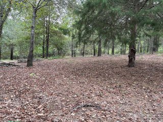 Property photo 82 - REAL ESTATE AUCTION - 70.24+/- ACRES OFFERED IN 2 TRACTS IN WOOD & SMITH COUNTIES, TEXAS
